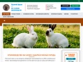 krolita.ru