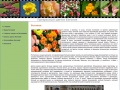 www.begonia-flower.ru