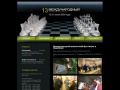 www.chess-vrn.ru