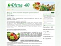 www.dieta-60.com