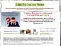 www.forex.pro533.com