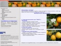 www.fresh-fruit.ru