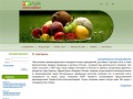 www.fruit-company.ru