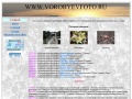 www.vorobyevfoto.ru