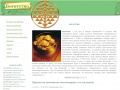 www.vybogaty.ru