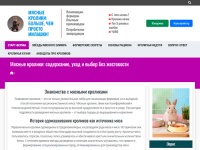 Мясные кролики: содержание, уход и выбор без жестокости