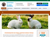 Разведение мясных кроликов как бизнес: породы, рентабельность, уход