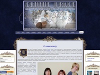 Ermine Trace - Питомник британских и шотландских кошек 