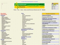 Актуальные ресурсы Новосибирска: рейтинг Новосибирских Веб Сайтов