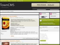 TownCMS