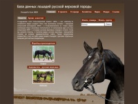 База данных лошадей русской верховой породы