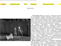 О компании | My test site