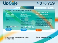 Продвижение сайта: seo, контекстная реклама, все для увеличения продаж.